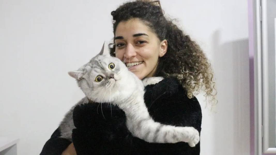 Isparta’da Kedi Nazlı Kan Nakliyle Hayata Döndü! 4